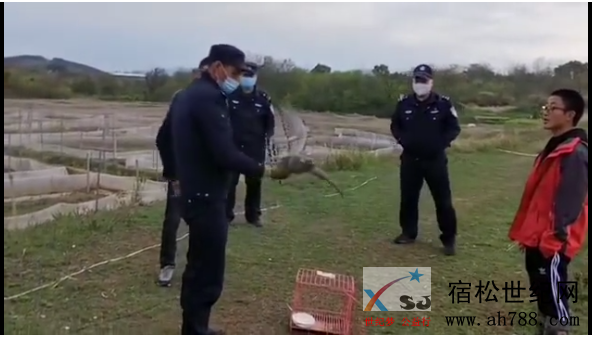 微信截图_20200329095728.png