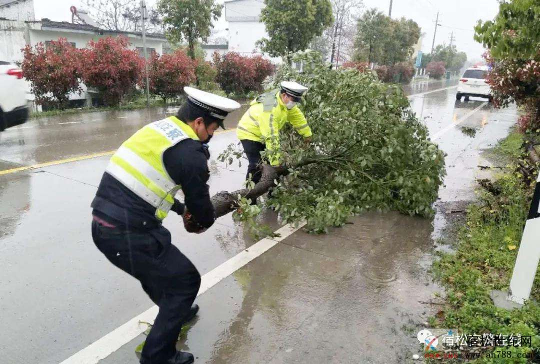 微信图片_20200329153951.jpg