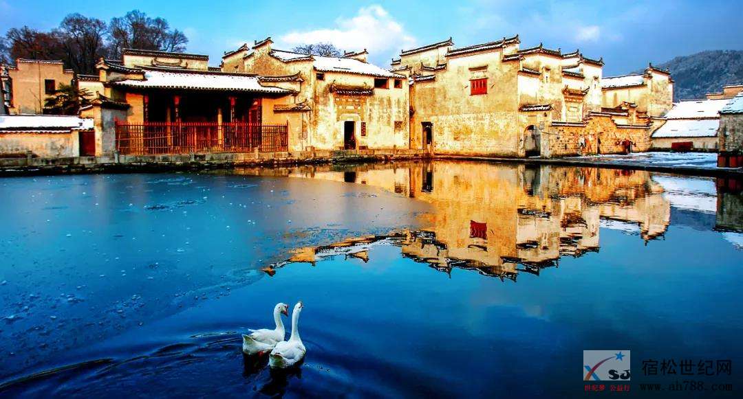 微信图片_20200331093220.jpg