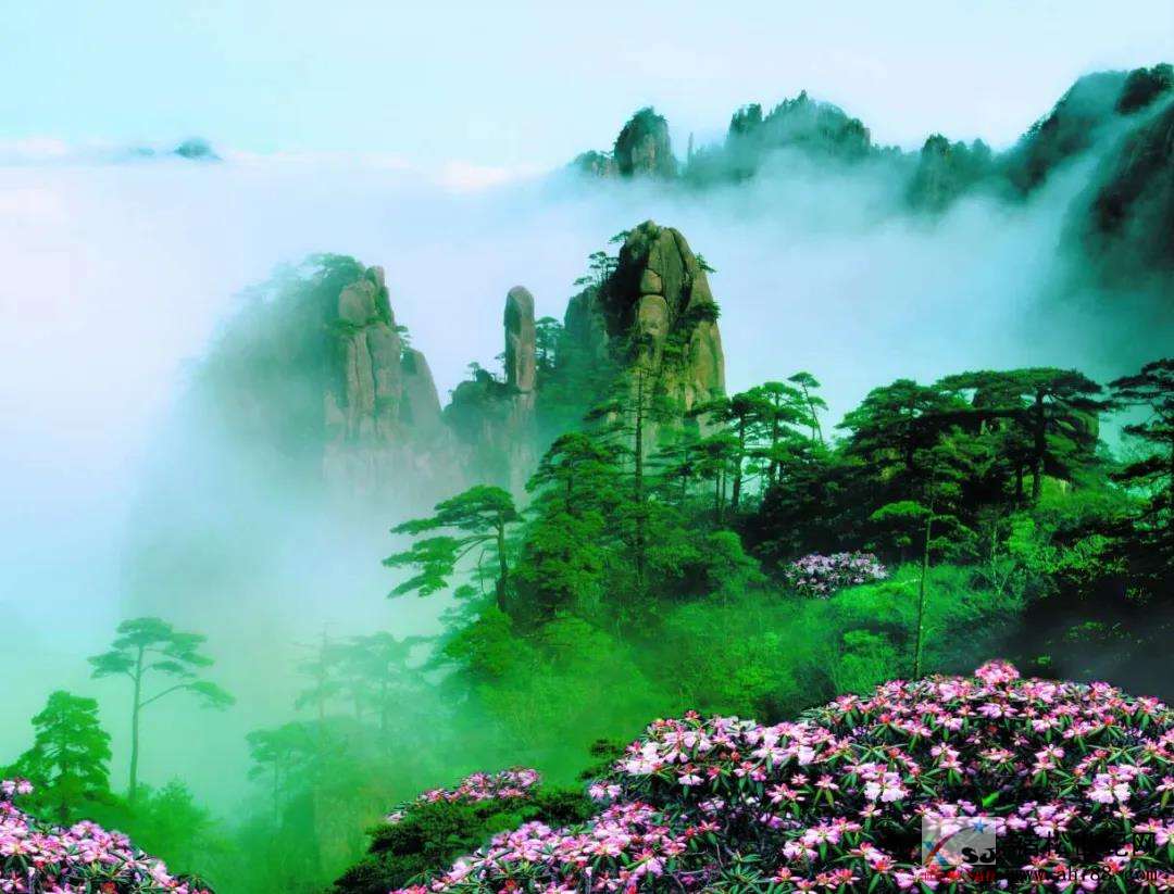 微信图片_20200331093216.jpg