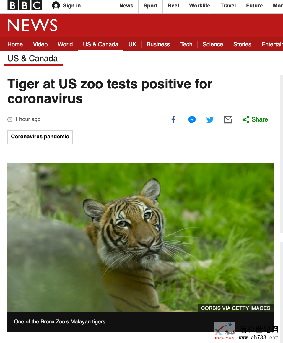 微信图片_20200406154510.png