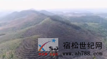 微信图片_20200407130934.png