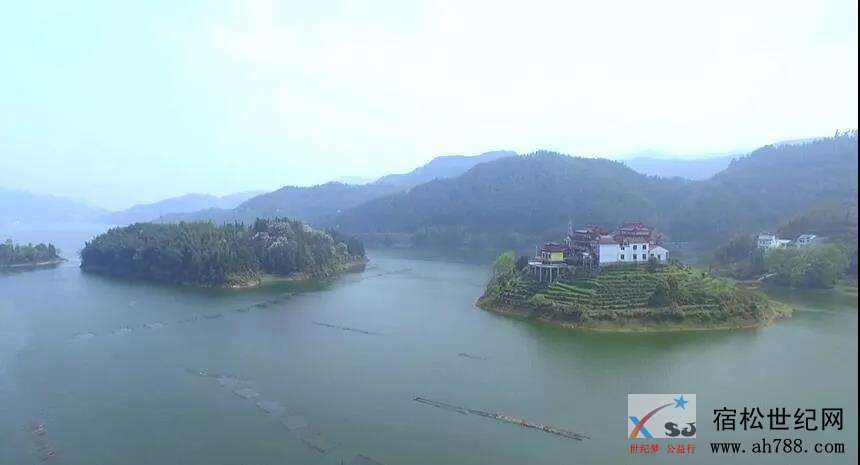 微信图片_20200408174624.jpg