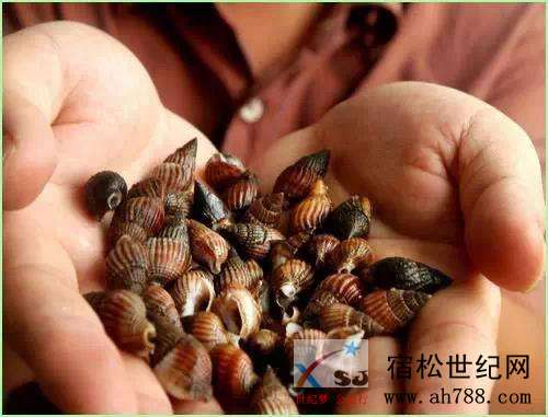 微信图片_20200410102525.jpg