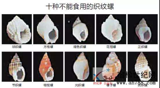 微信图片_20200410102533.jpg