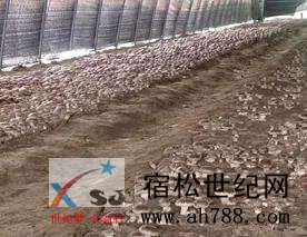 微信图片_20200410112943.jpg