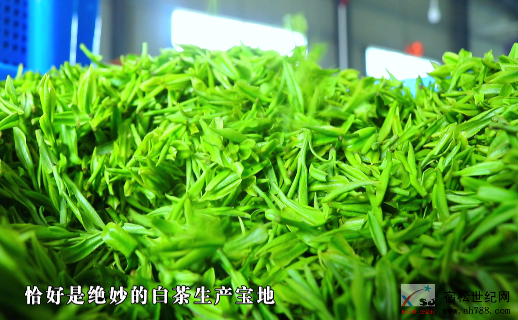 微信图片_20200418143002.png
