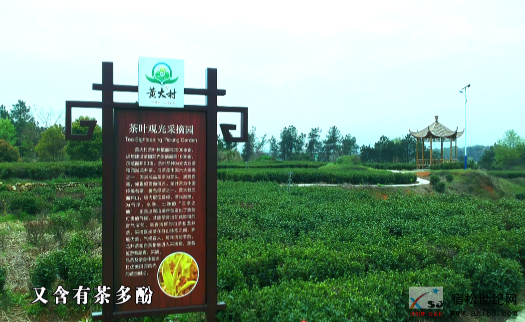 微信图片_20200418142958.png