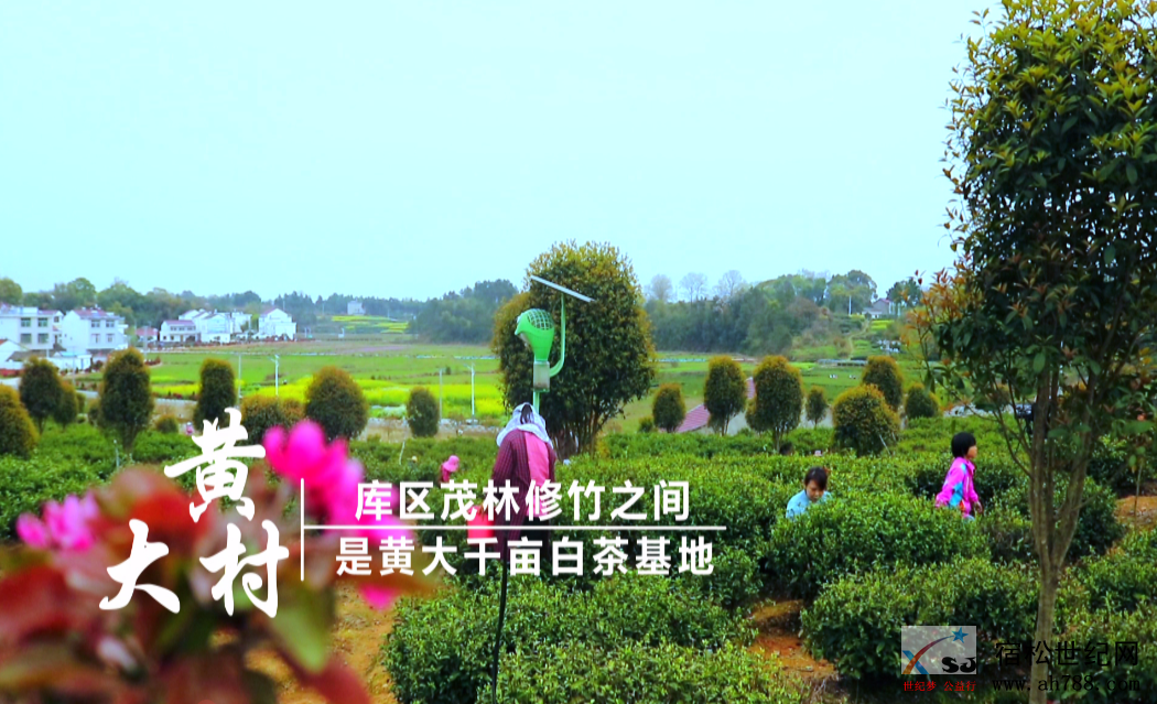 微信图片_20200418142940.png