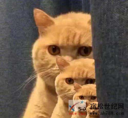 微信图片_20200426095752.jpg