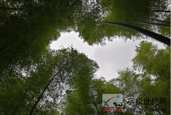 微信截图_20200428075616.png