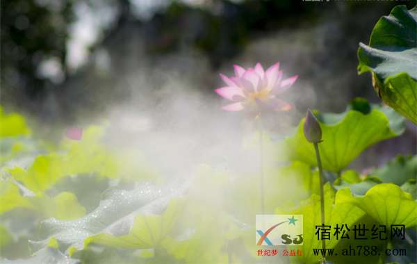 1138496_20180521221404726060_1_副本.jpg