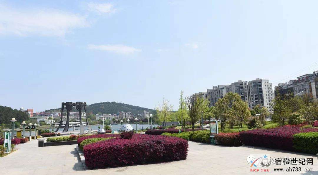 微信图片_20200429091522.jpg