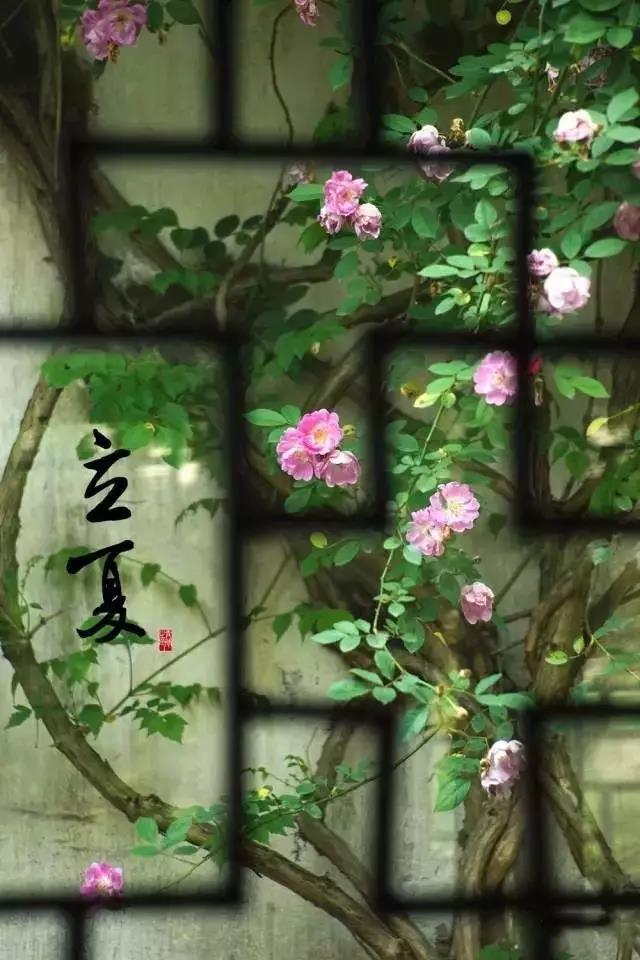 微信图片_20200505082509.jpg