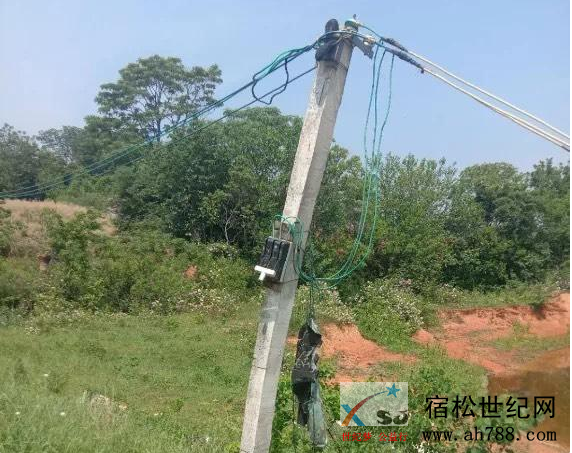 微信图片_20200505175543.png