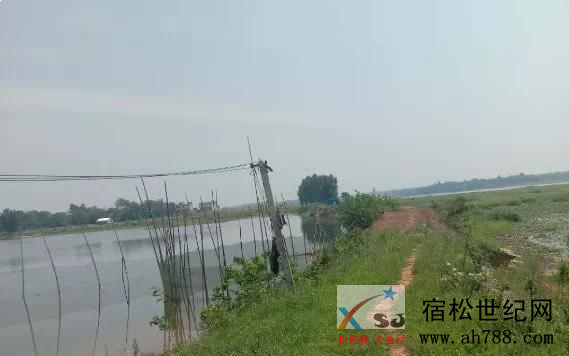 微信图片_20200505175539.png