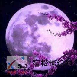 image_edit_7.png