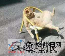 微信图片_20200507131056.jpg