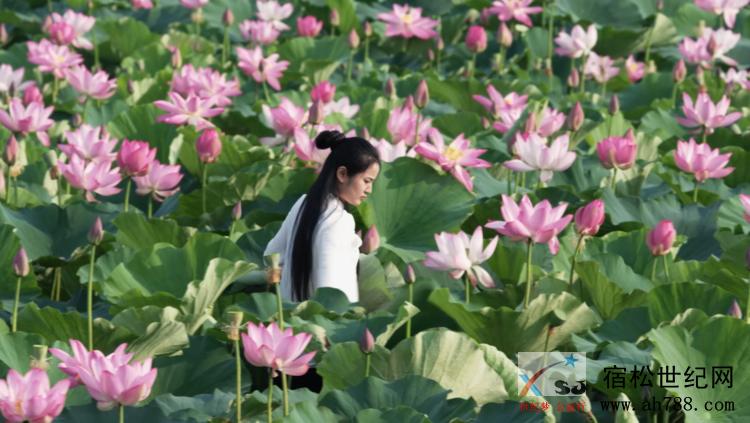 微信图片_20200508090354.png