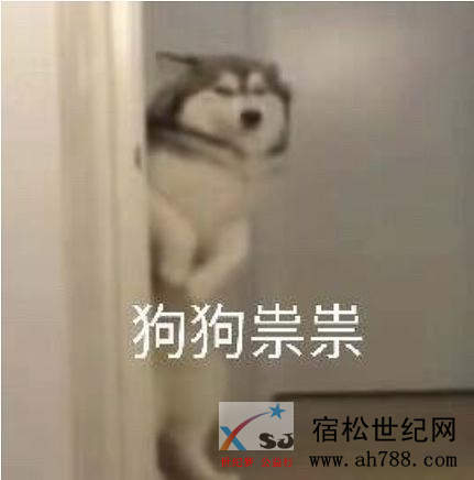 微信图片_20200508140510.png