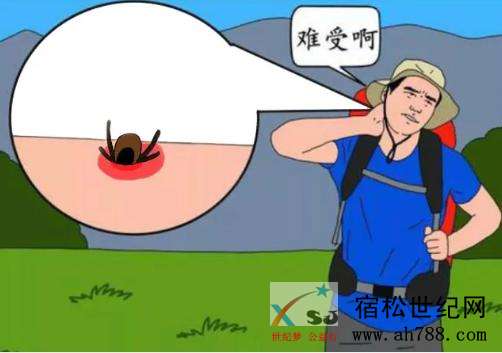 图片3.jpg
