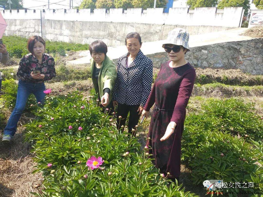 微信图片_20200509103631.jpg
