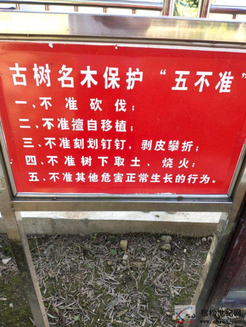 IMG_20200512_101555.jpeg