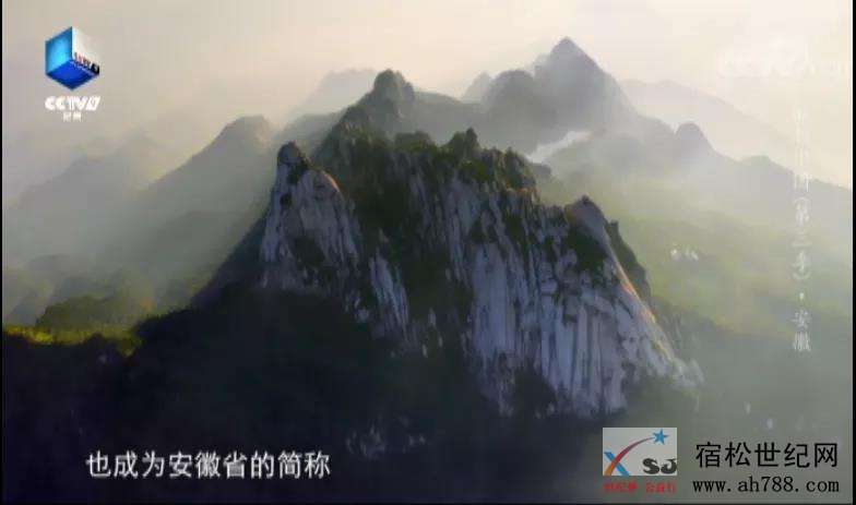 微信图片_20200528090742.jpg