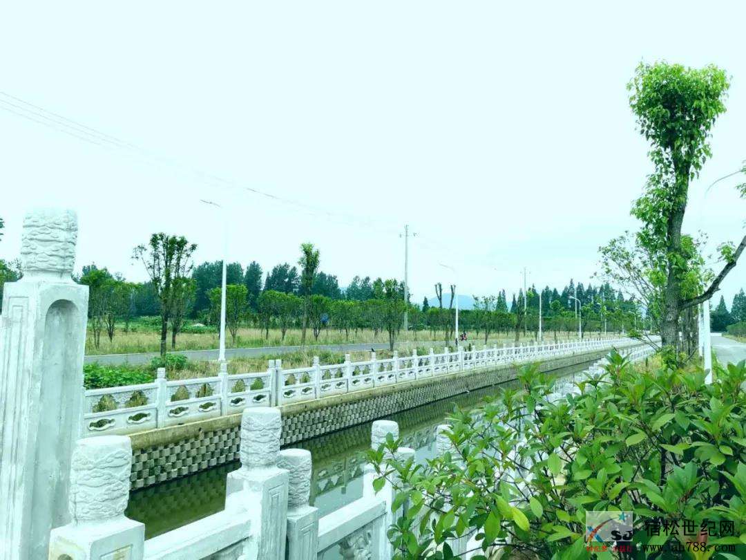 微信图片_20200609082036.jpg