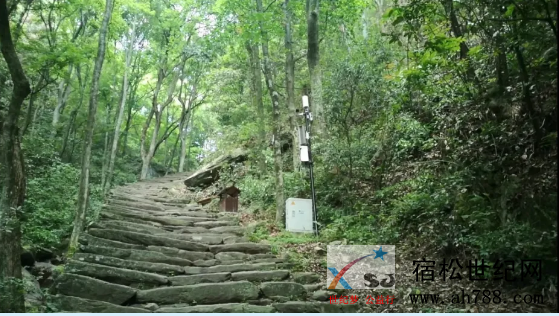 微信图片_20200610105207.png
