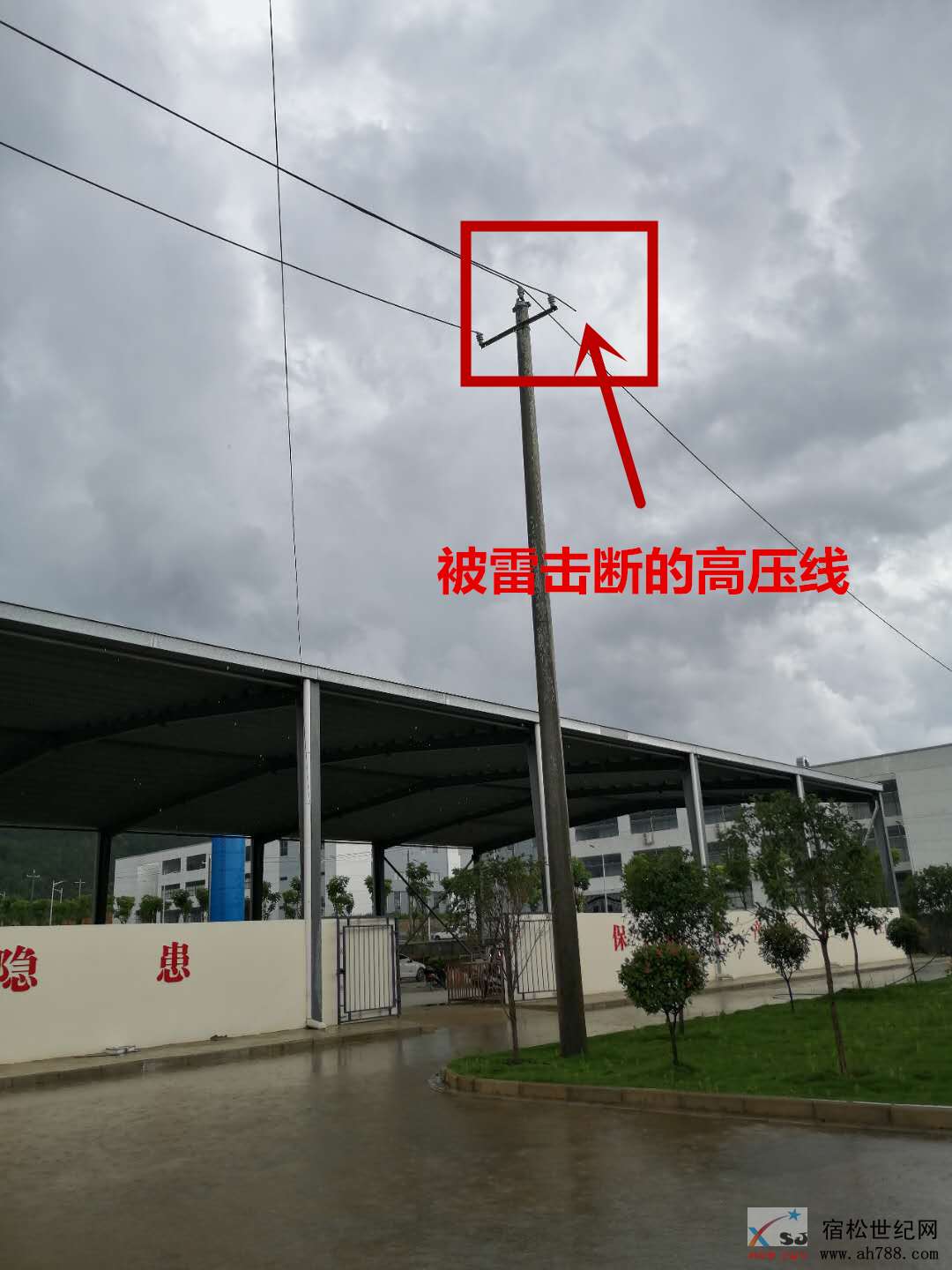 微信图片_20200615155708_副本.jpg