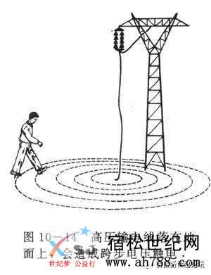 微信图片_20200616105942.jpg