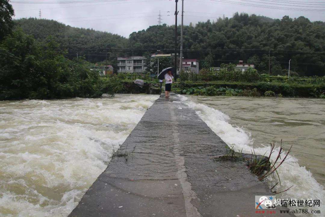 微信图片_20200709082146.jpg