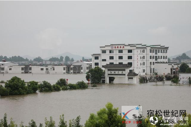 QQ截图20200714082528.png