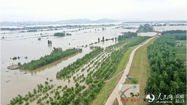 QQ截图20200714082518.png