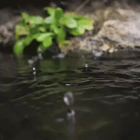084604bqe7672zsis65qox.gif