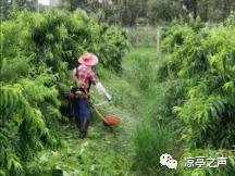 微信图片_20200730115954.jpg