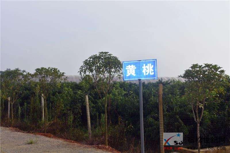 微信图片_20200804164901.jpg