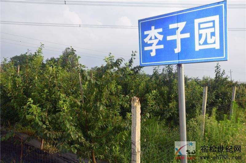 微信图片_20200804164857.jpg
