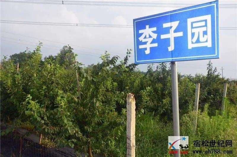 微信图片_20200805092924.jpg