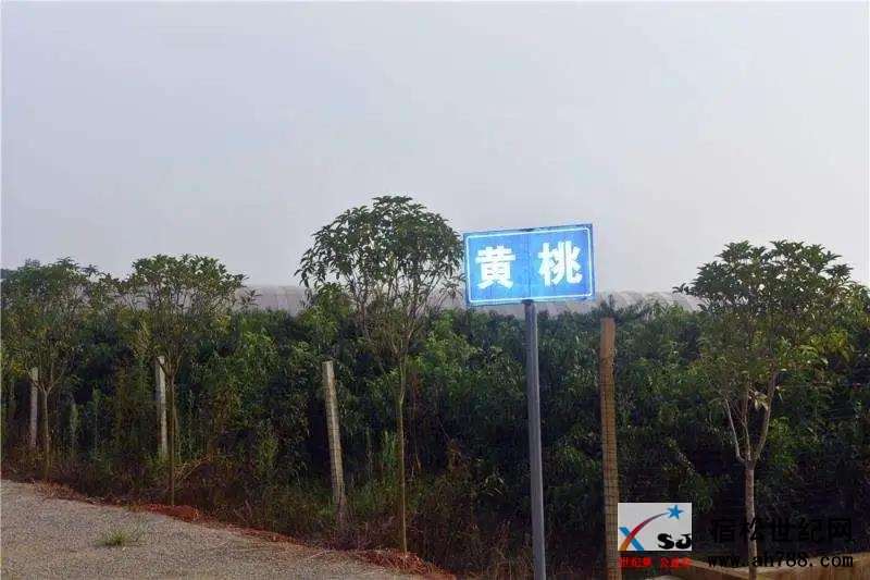 微信图片_20200805092919.jpg