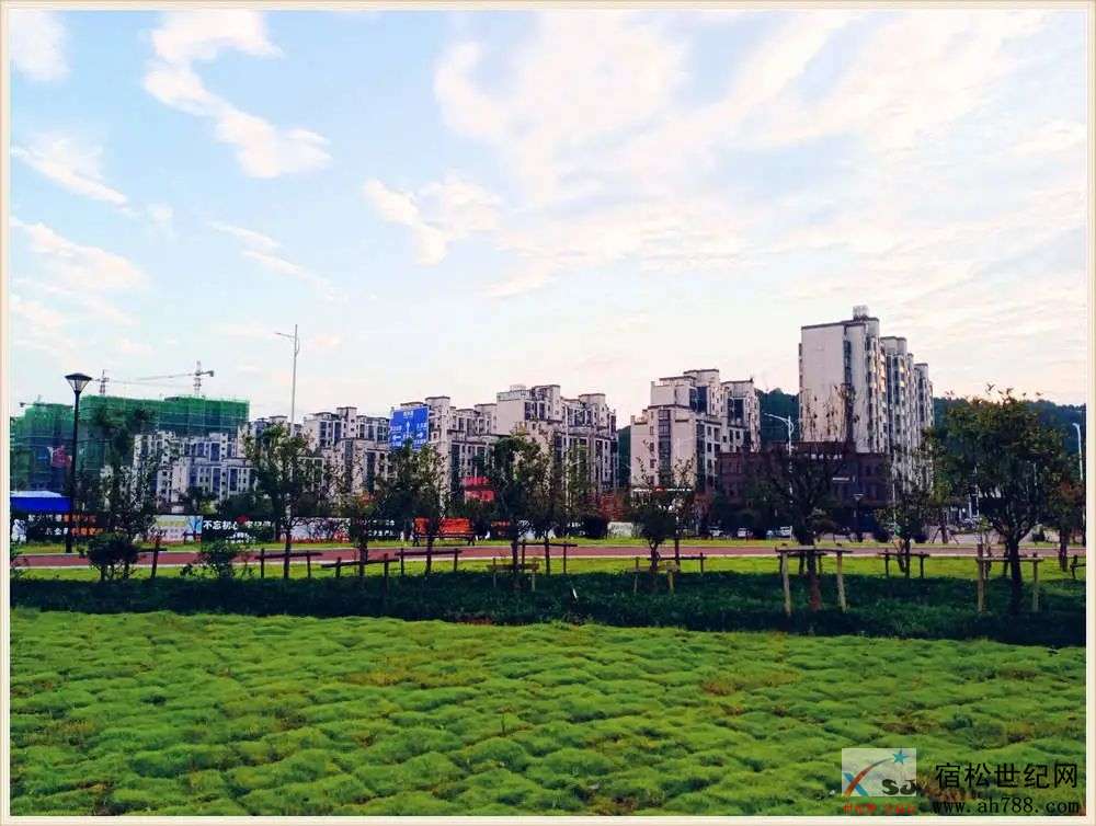 微信图片_20200813093334.jpg