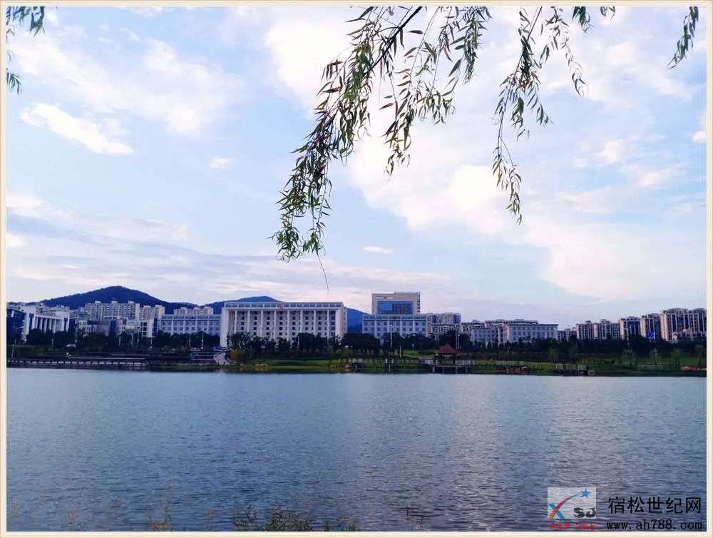 微信图片_20200813093352.jpg