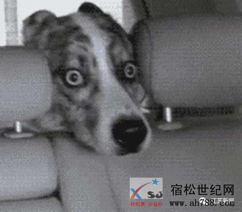 微信图片_20200820153927.jpg
