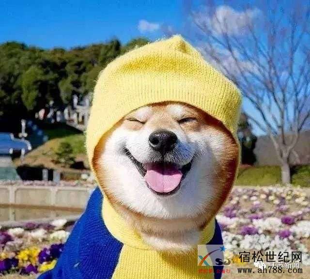 微信图片_20200820153938.jpg