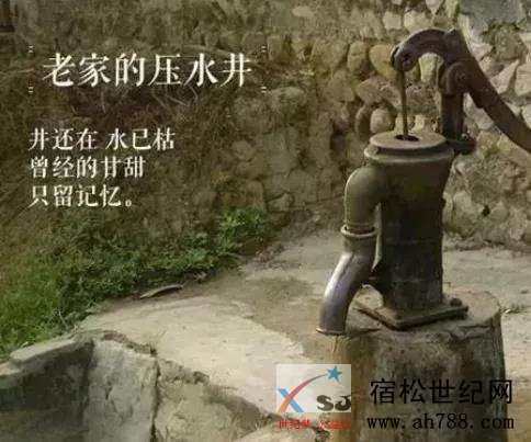微信图片_20200830154449.jpg