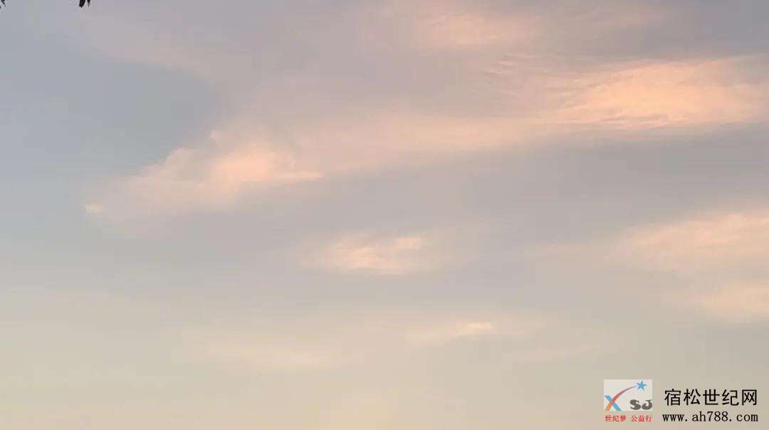 微信图片_20200915083611.jpg