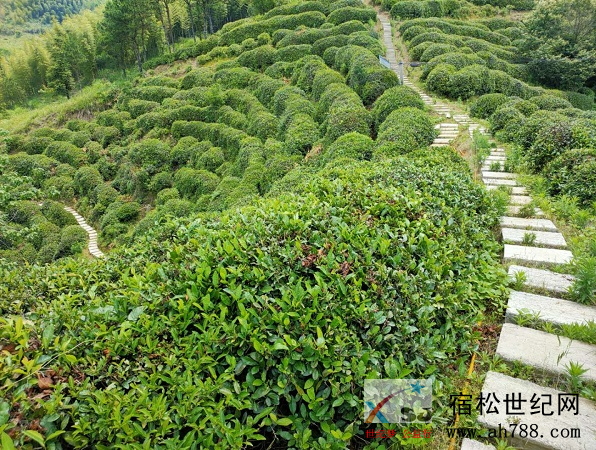 微信图片_20200924091541.png