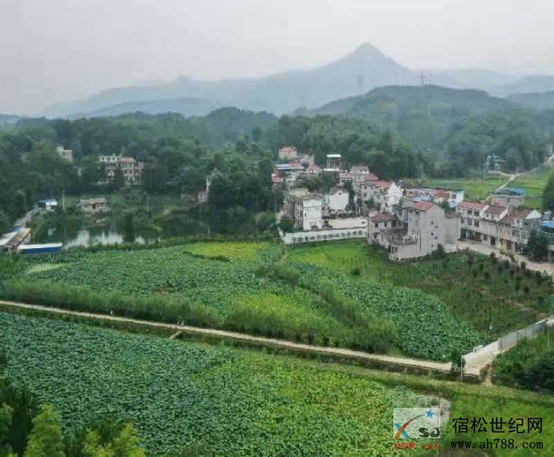 微信图片_20200927114140.jpg