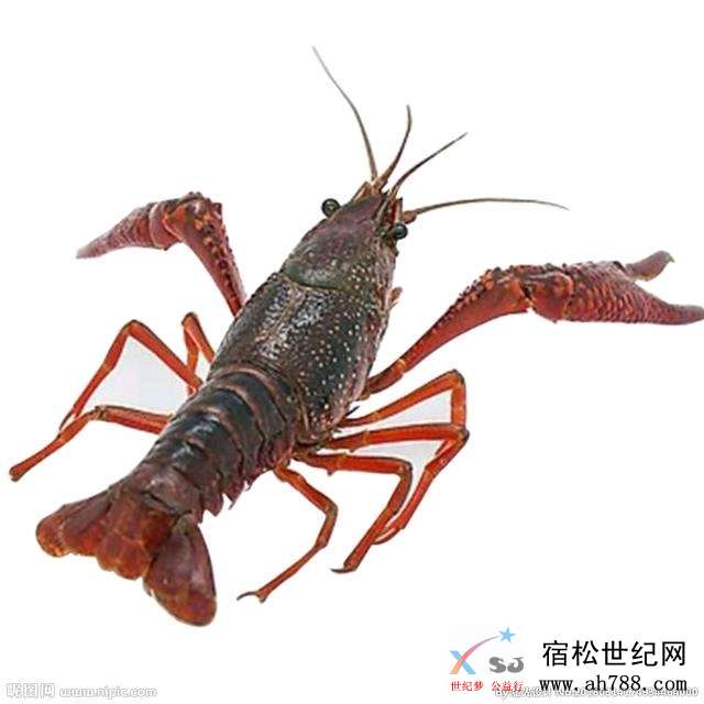 44a3460aa4fa15b367f1ba0950b4e40d37550060a429bf9b5354e597e279372b.0.jpeg
